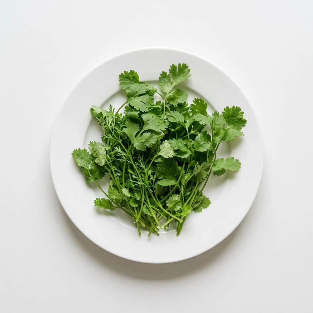 Rau mùi — thực phẩm ăn dặm Mamibabi