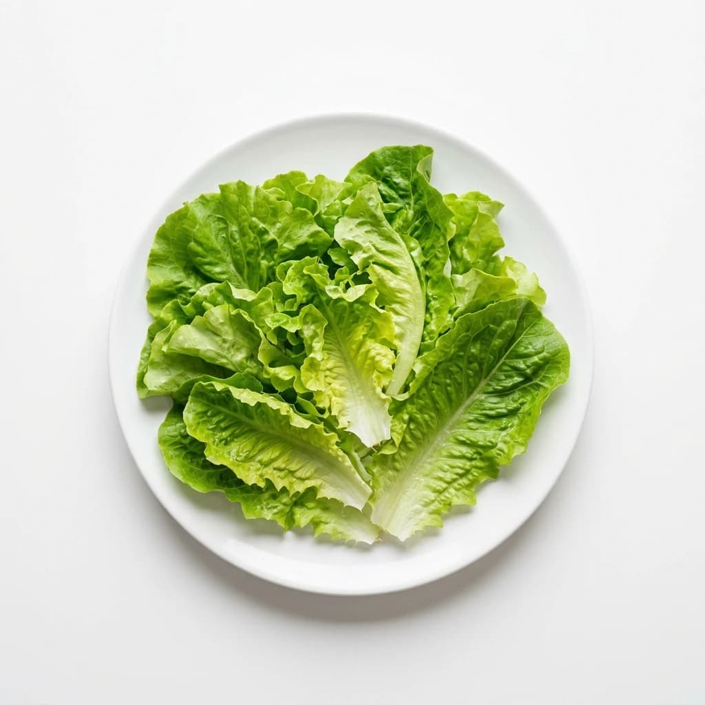 Rau xà lách — thực phẩm ăn dặm Mamibabi